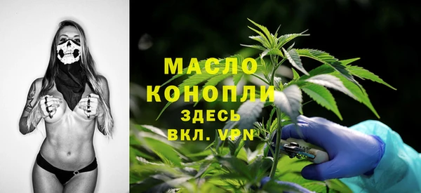 амф Бородино