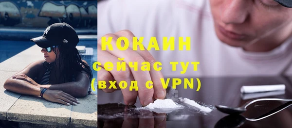 амф Бородино