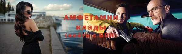 амф Бородино