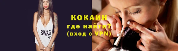 амф Бородино