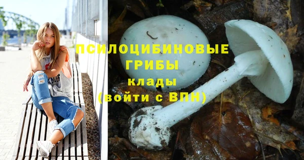 амф Бородино