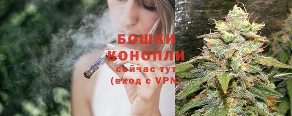 амф Бородино