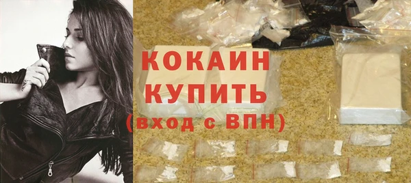 амф Бородино