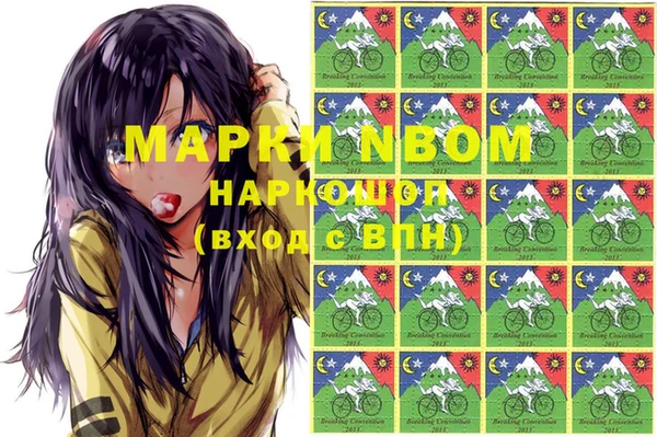 бошки Бронницы
