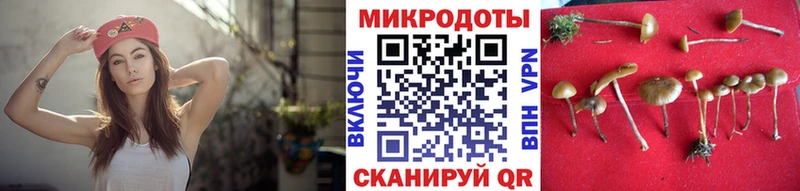 Псилоцибиновые грибы MAGIC MUSHROOMS  Ростов 